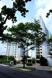 Lakeholmz (D22), Condominium #549984841